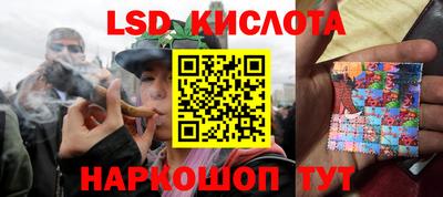 PSILOCYBIN Донской