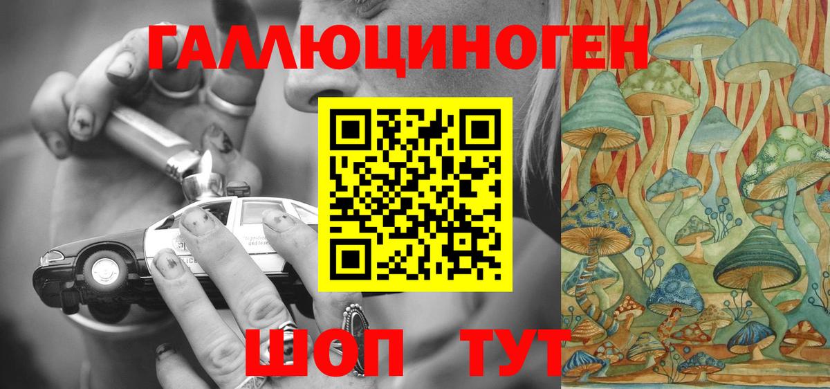 Галлюциногенные грибы Psilocybe Кулебаки